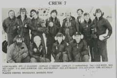 Combat Air Crew 7